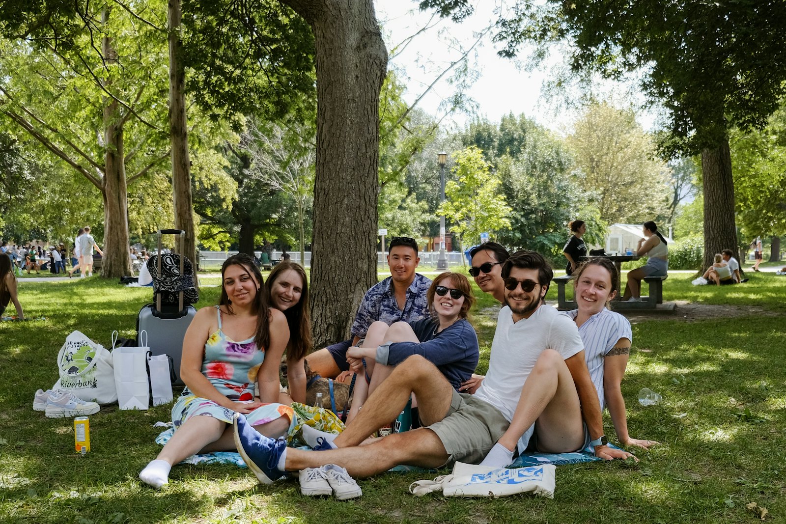 加拿大夏季公园里一群多元背景的年轻人户外聚会，充满活力