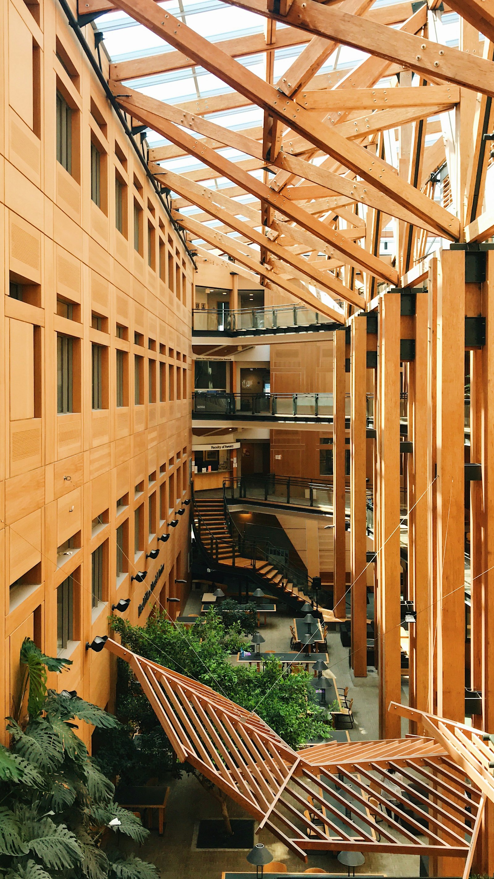加拿大学院现代化木质结构室内公共空间,采光充足,学生分散在各处自习和讨论