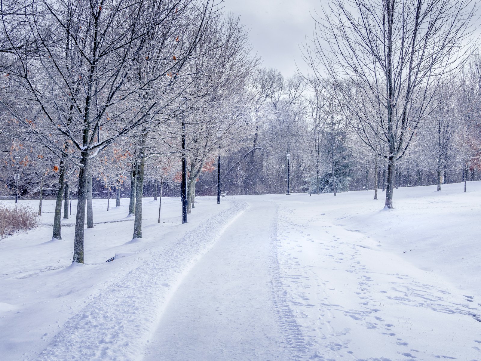 加拿大冬日雪景，积雪覆盖的公园小径