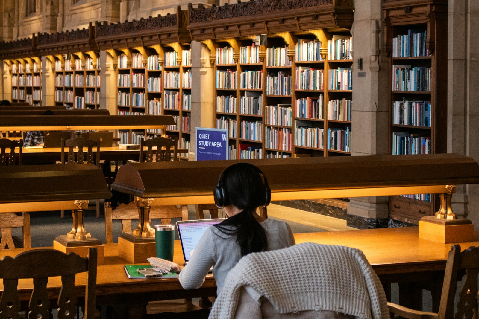 图书馆安静学习区，留学生专注使用笔记本电脑自习